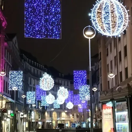 Apartamento Jardin Fleuri Lingolsheim