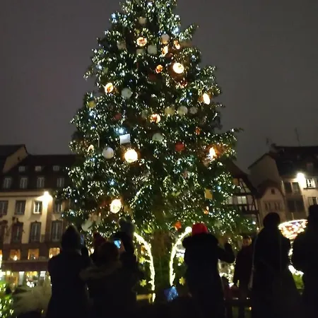 Jardin Fleuri Lingolsheim