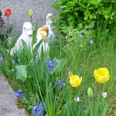 Jardin Fleuri * Lingolsheim