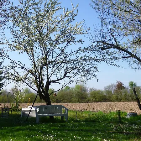 Jardin Fleuri Daire *