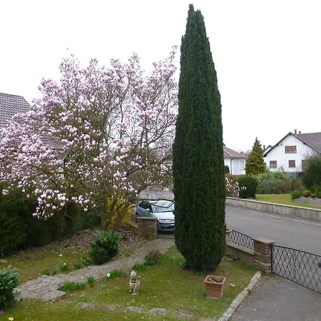 Jardin Fleuri Daire Lingolsheim