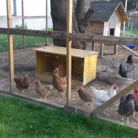 Apartamento Jardin Fleuri *