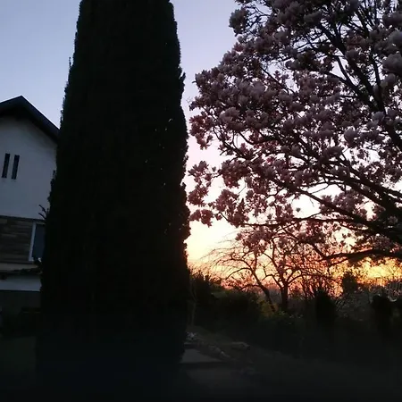 Jardin Fleuri * Lingolsheim