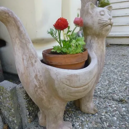 Jardin Fleuri *